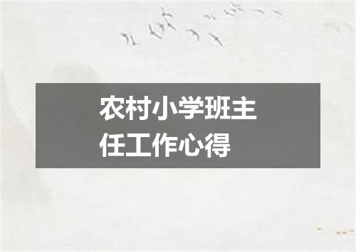 农村小学班主任工作心得
