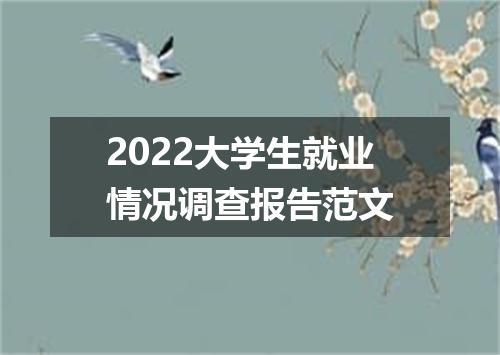 2022大学生就业情况调查报告范文