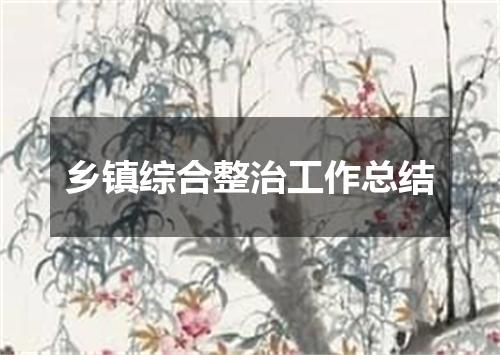 乡镇综合整治工作总结