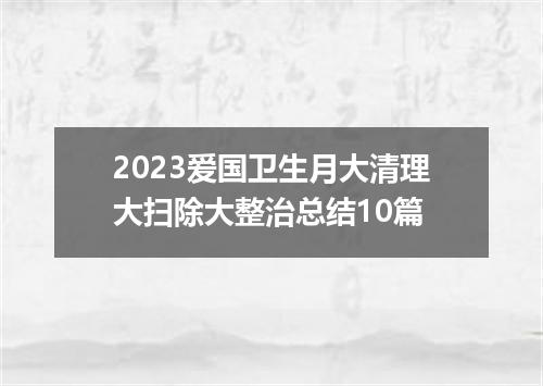 2023爱国卫生月大清理大扫除大整治总结10篇