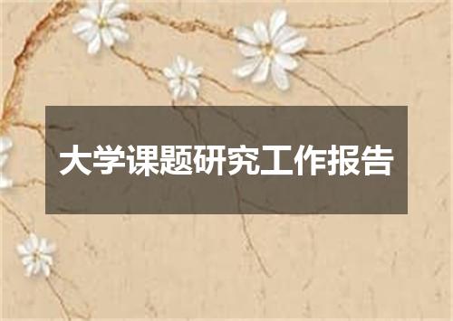 大学课题研究工作报告