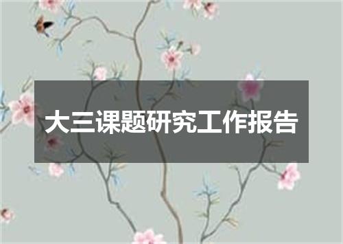 大三课题研究工作报告