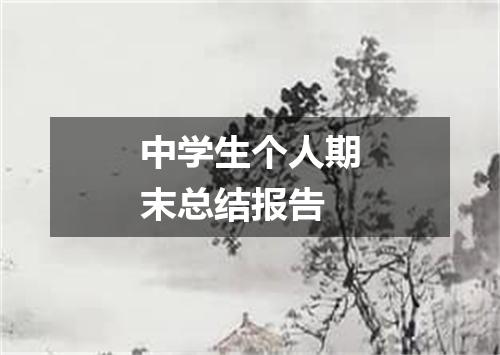 中学生个人期末总结报告