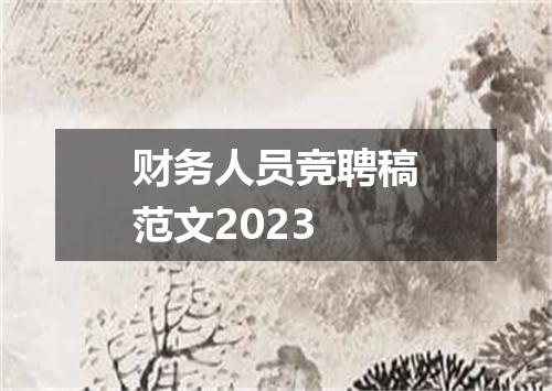 财务人员竞聘稿范文2023