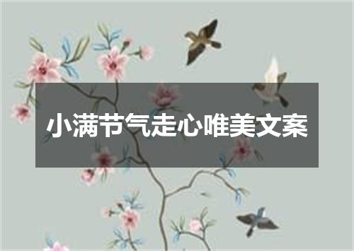 小满节气走心唯美文案