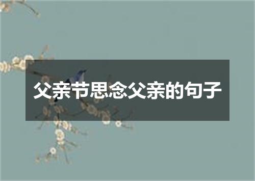 父亲节思念父亲的句子