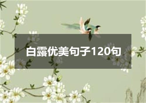 白露优美句子120句