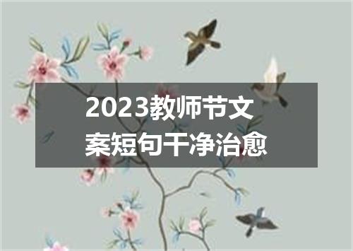 2023教师节文案短句干净治愈