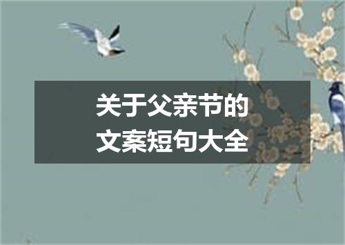 关于父亲节的文案短句大全