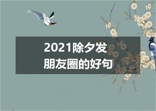 2021除夕发朋友圈的好句