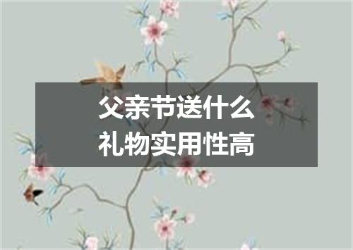 父亲节送什么礼物实用性高