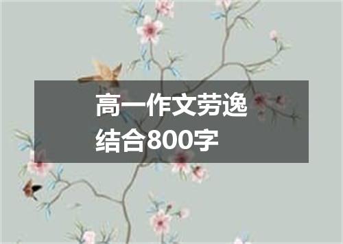 高一作文劳逸结合800字