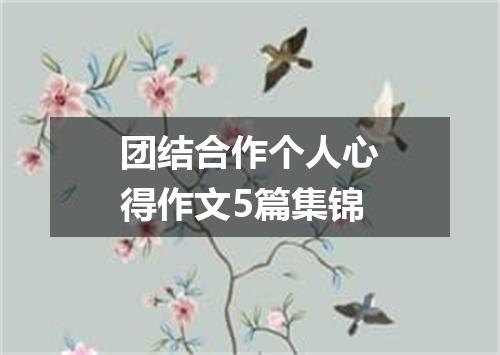 团结合作个人心得作文5篇集锦