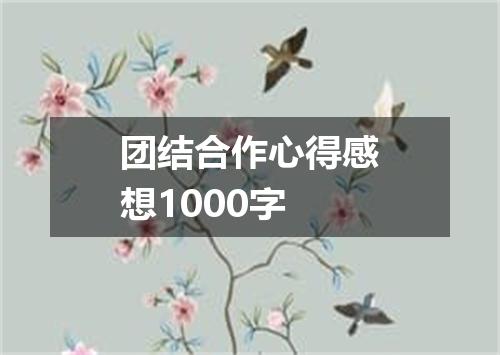 团结合作心得感想1000字