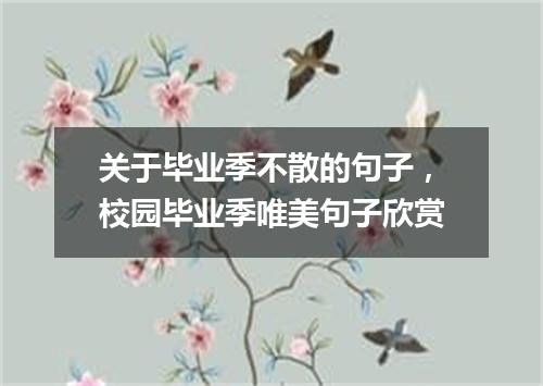 关于毕业季不散的句子，校园毕业季唯美句子欣赏