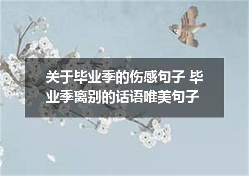 关于毕业季的伤感句子 毕业季离别的话语唯美句子