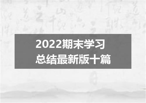 2022期末学习总结最新版十篇