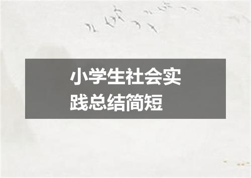 小学生社会实践总结简短