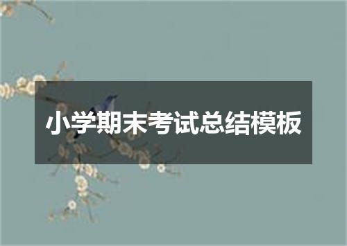 小学期末考试总结模板