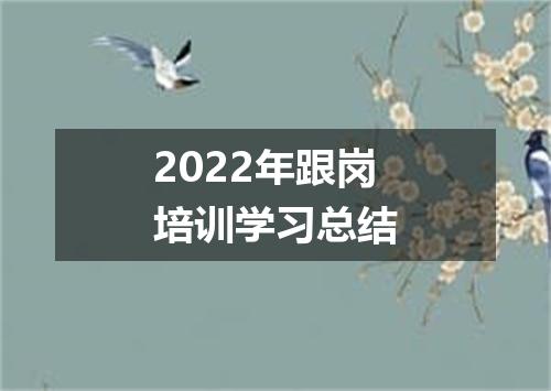 2022年跟岗培训学习总结