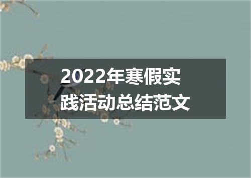 2022年寒假实践活动总结范文