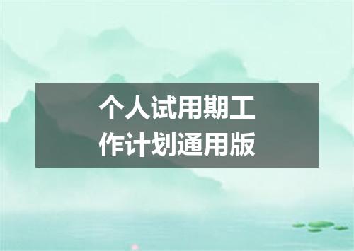 个人试用期工作计划通用版