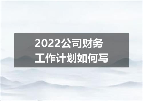 2022公司财务工作计划如何写