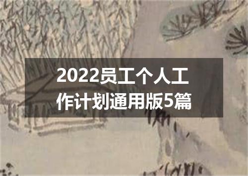 2022员工个人工作计划通用版5篇