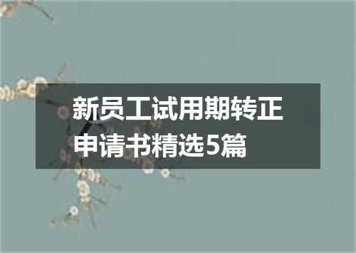 新员工试用期转正申请书精选5篇