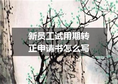 新员工试用期转正申请书怎么写
