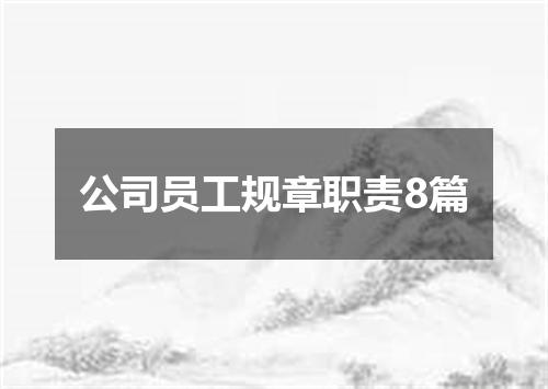 公司员工规章职责8篇