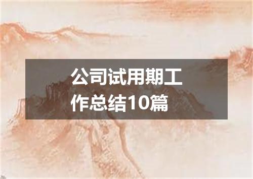 公司试用期工作总结10篇