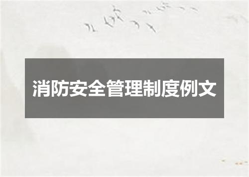 消防安全管理制度例文