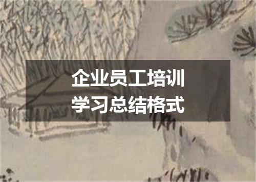 企业员工培训学习总结格式