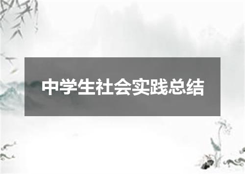 中学生社会实践总结