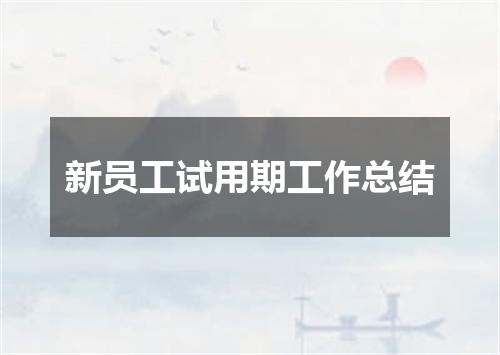 新员工试用期工作总结
