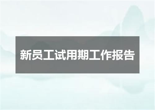 新员工试用期工作报告