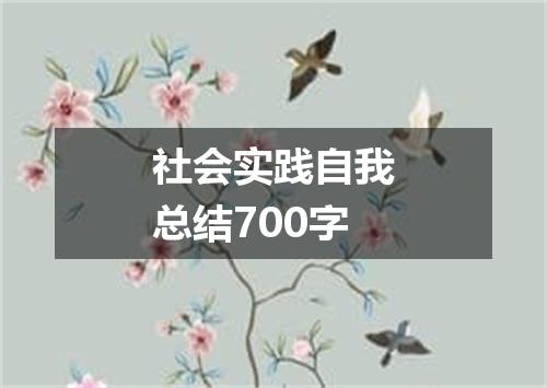 社会实践自我总结700字