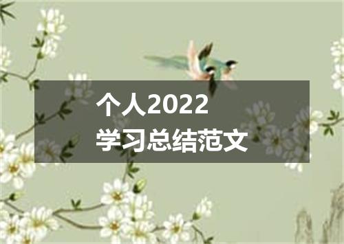个人2022学习总结范文