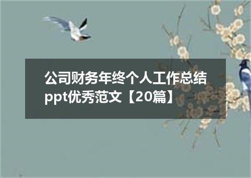 公司财务年终个人工作总结ppt优秀范文【20篇】