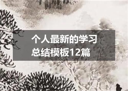 个人最新的学习总结模板12篇