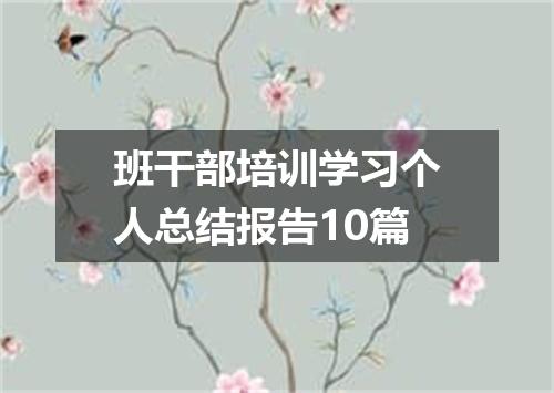 班干部培训学习个人总结报告10篇