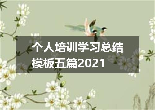 个人培训学习总结模板五篇2021