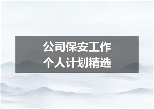 公司保安工作个人计划精选