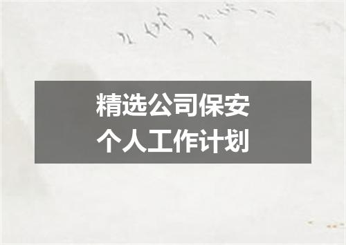 精选公司保安个人工作计划