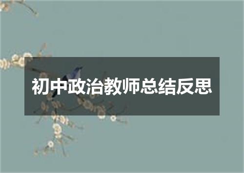 初中政治教师总结反思