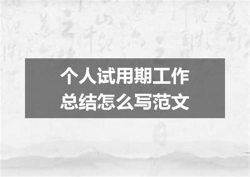 个人试用期工作总结怎么写范文