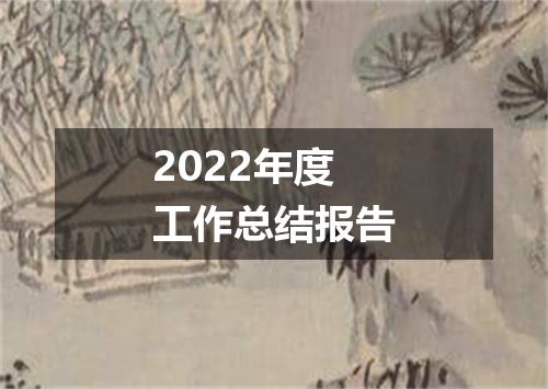 2022年度工作总结报告