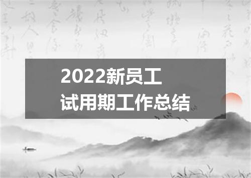 2022新员工试用期工作总结