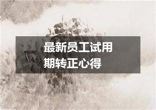 最新员工试用期转正心得